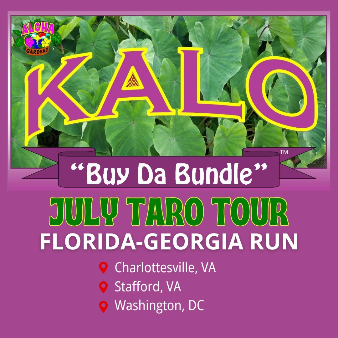 Taro Tour July 2024 MidAtlantic DMV Run Aloha Gardens