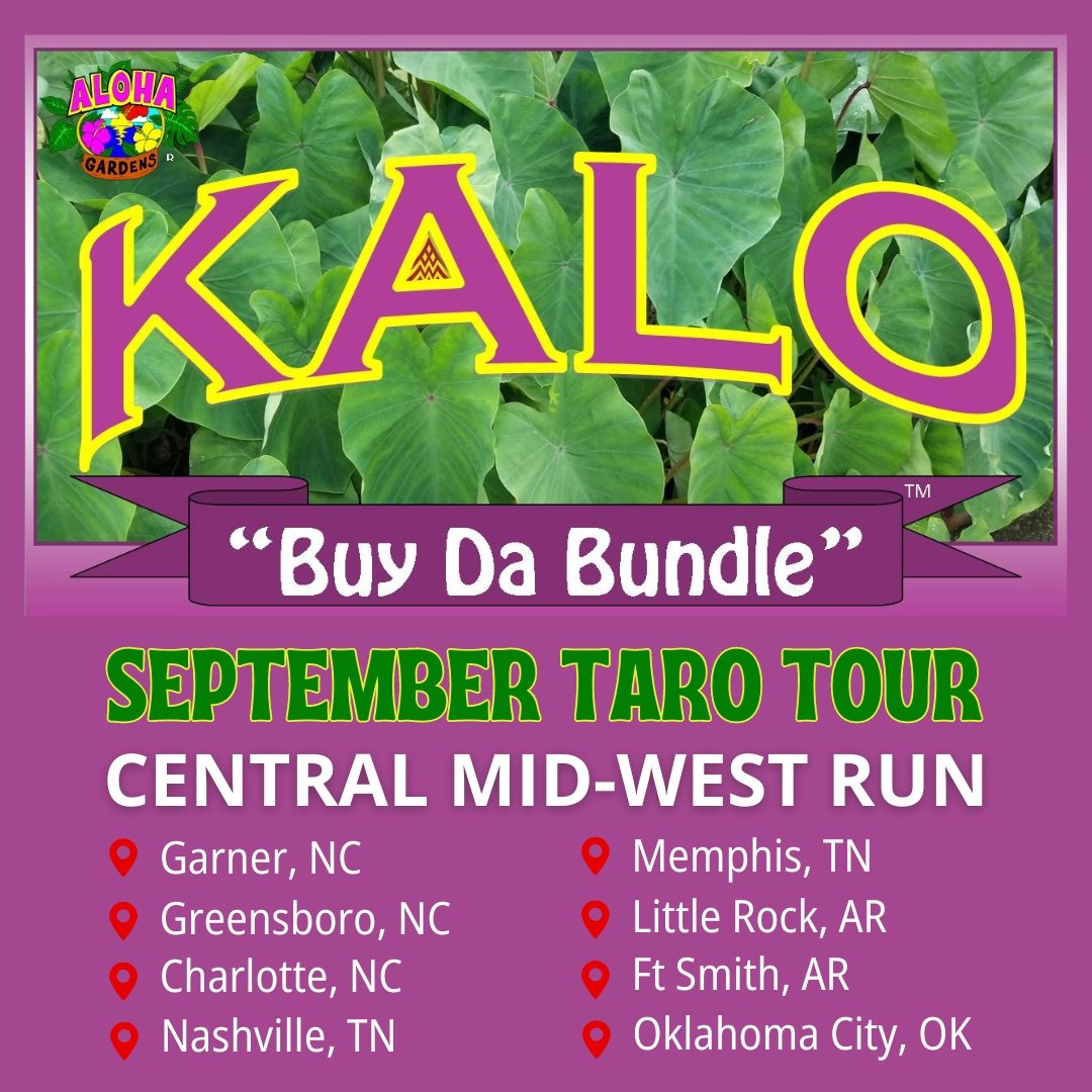 Taro Tour September 2024 Central Midwest Run Aloha Gardens