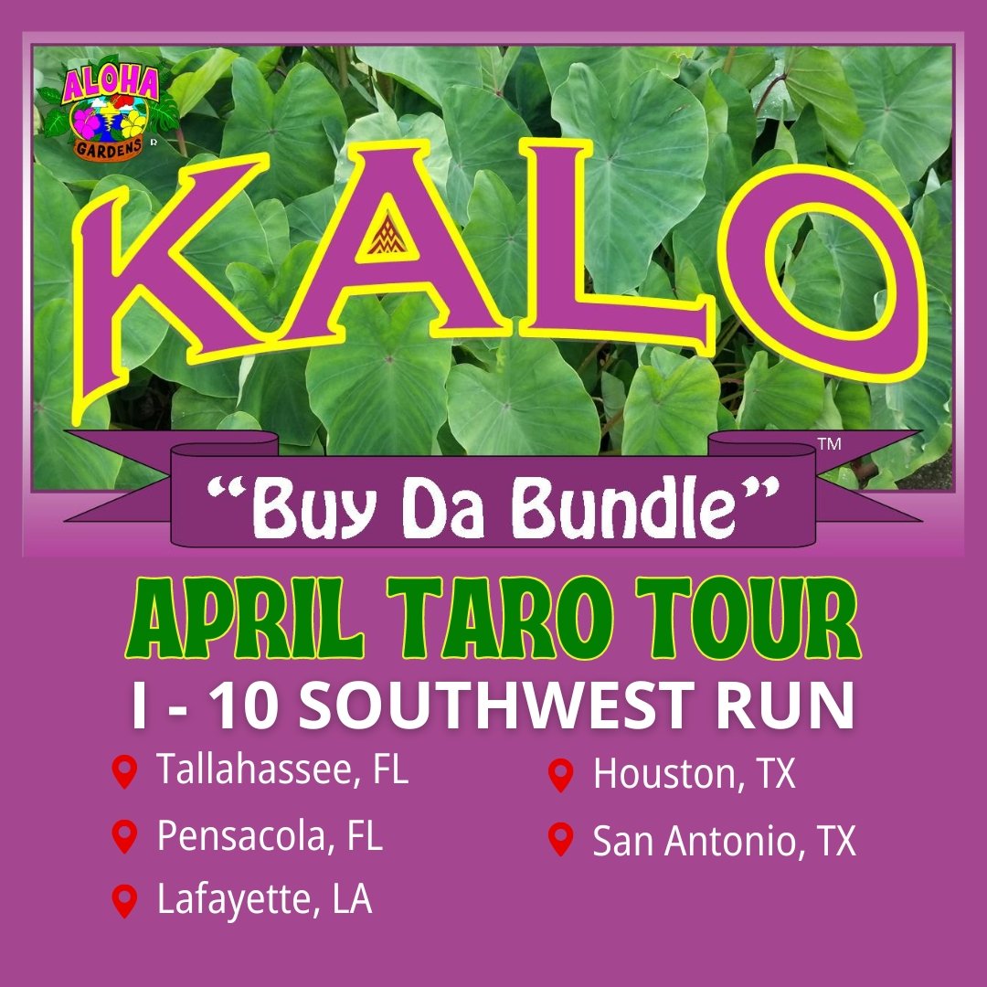 Taro Tour April 2024 I10 Southwest Run Aloha Gardens