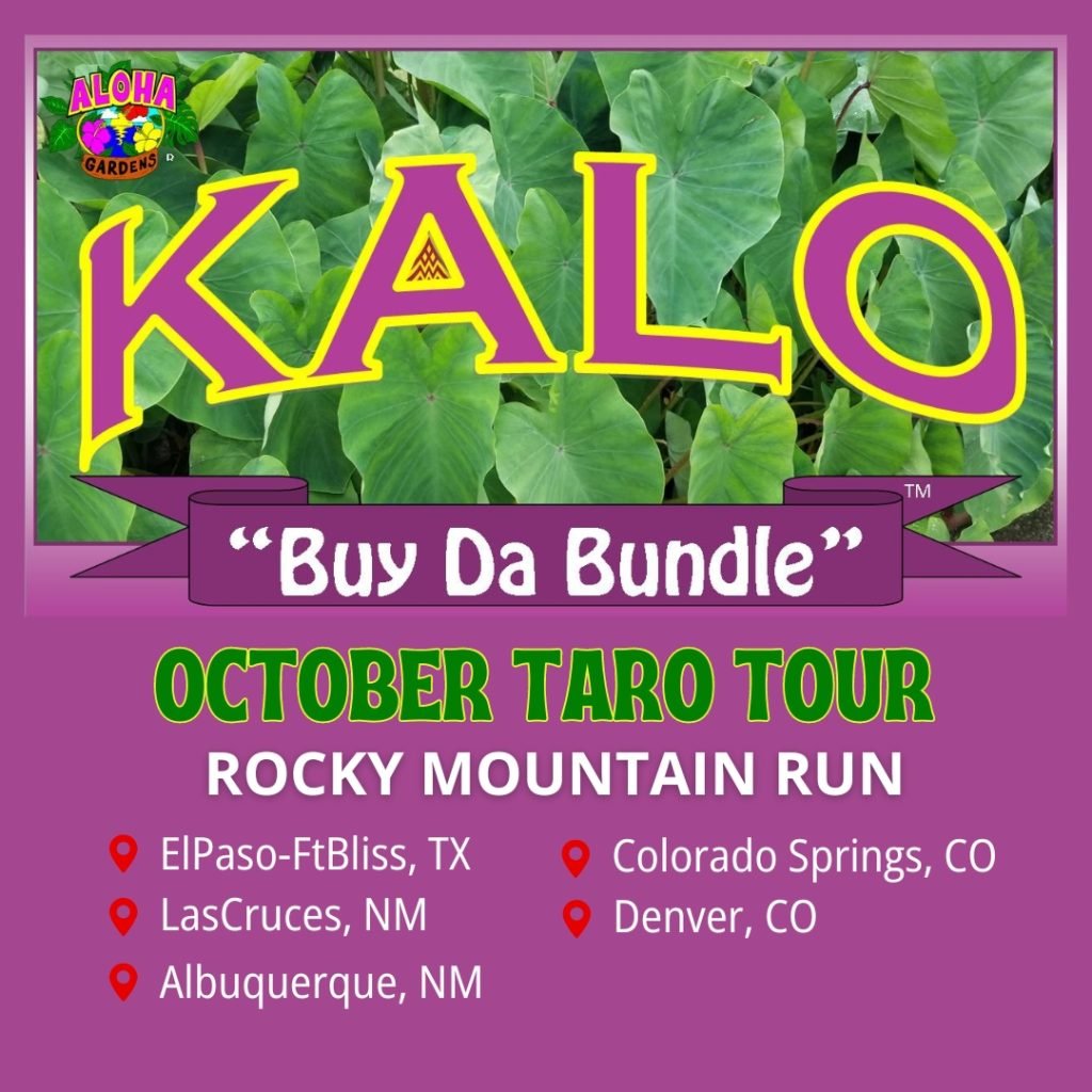 Taro Tour October 2024 Rocky Mountain Run Aloha Gardens